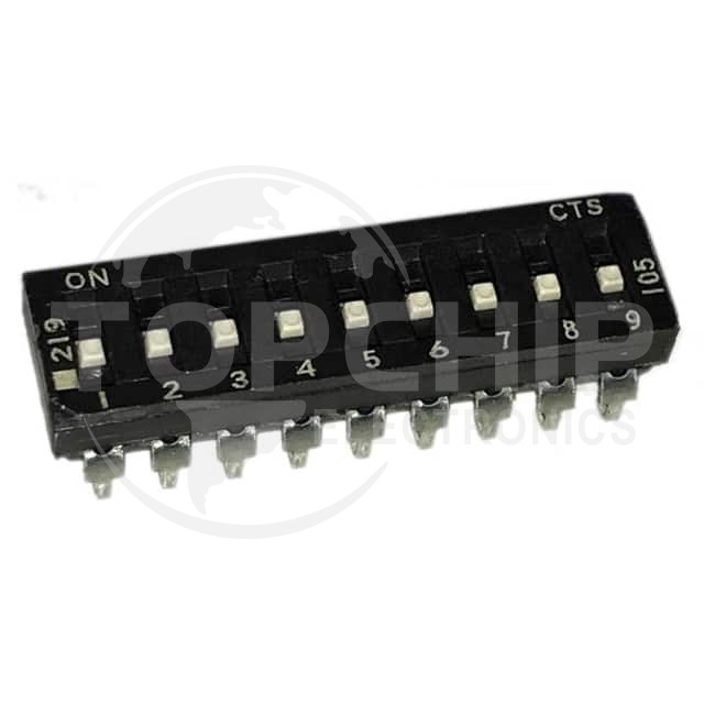 219-9LPSJRF