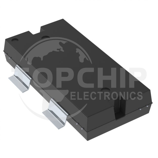 BLP10H6120PGY