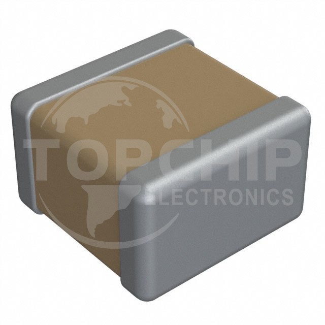 C17CF100K-7ZN-X1T