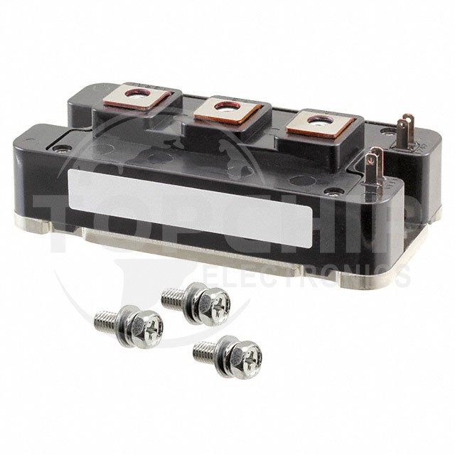 CM100DY-24A