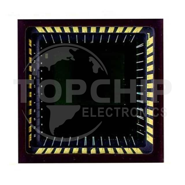 CYIL1SM0300AA-QWC