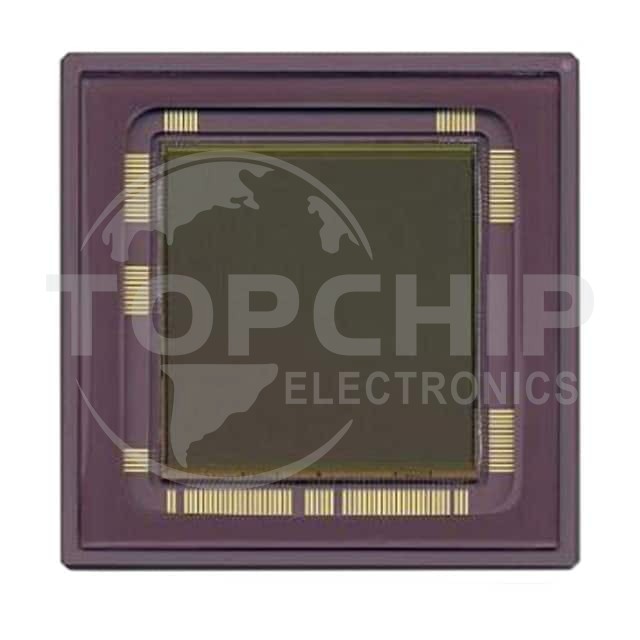 CYIL1SM4000AA-GDC