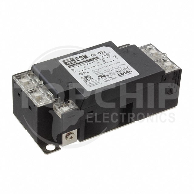 ESM-03-000