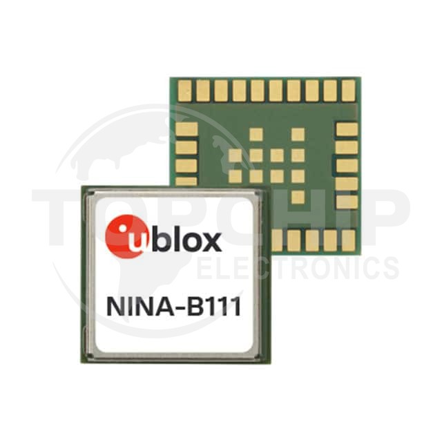 NINA-B111-01B