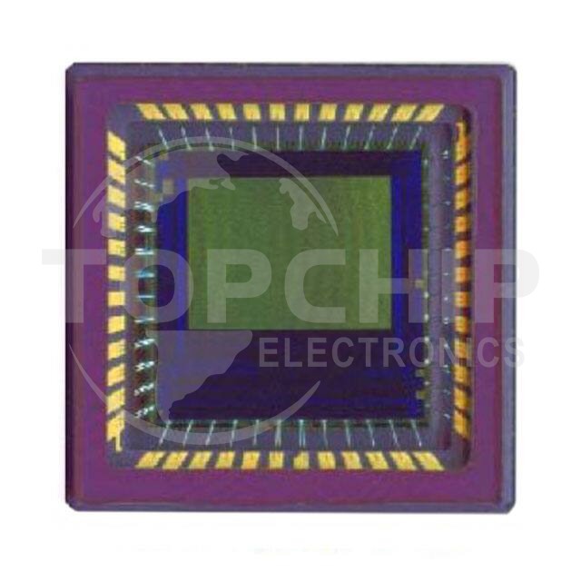 NOIL1SM0300A-WWC