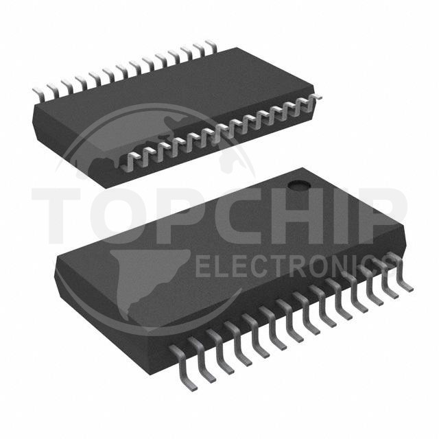 PGA2500IDBR