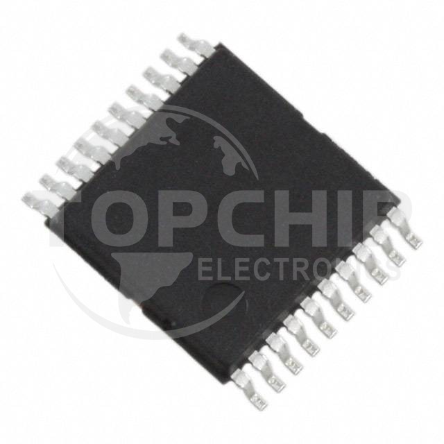 R5F1006CGSP#30