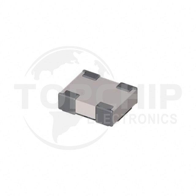 RM062PJ100CS