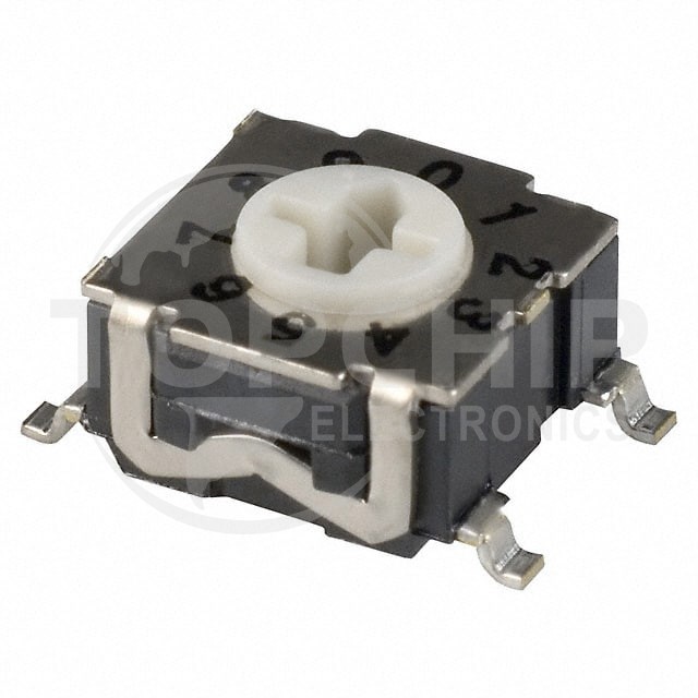 RTE1000G13